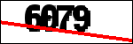 متن برای شناسایی