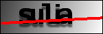 متن برای شناسایی