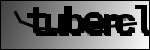 متن برای شناسایی