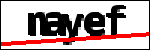 متن برای شناسایی