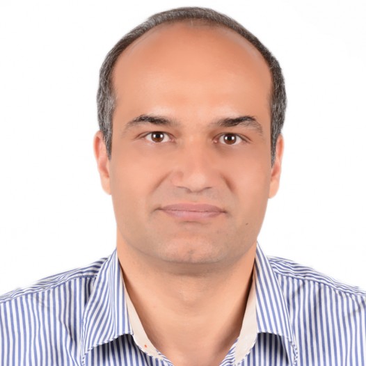 Dr. Reza Sarvari