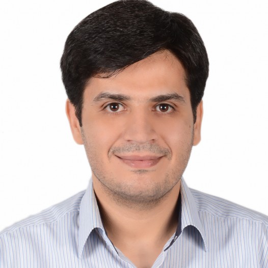 Dr. Amir Safdarian
