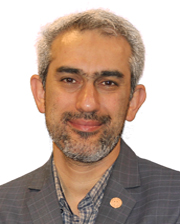 Seyed Ali Madanizadeh