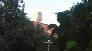 Набросок