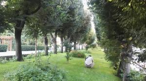 صورة مصغّرة