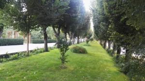 صورة مصغّرة