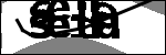 متن برای شناسایی