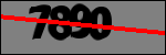متن برای شناسایی