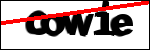 متن برای شناسایی