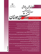 شناسایی عوامل موثر بر تحقق حکمرانی مطلوب در صنعت ورزش ایران: با رهیافت داده بنیاد