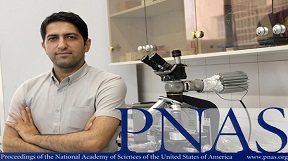 انتشار مقاله استاد شریف در معتبرترین مجله آکادمی ملی علوم آمریکا